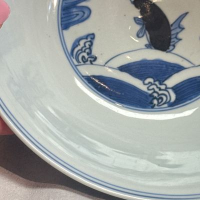 A Chinese blue, white and iron-red 'Fish among Aquatic Plants' bowl — 照片 6