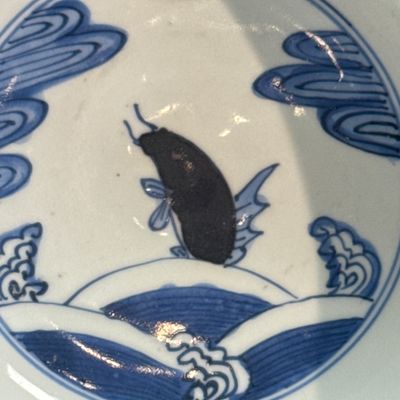 A Chinese blue, white and iron-red 'Fish among Aquatic Plants' bowl — 照片 10