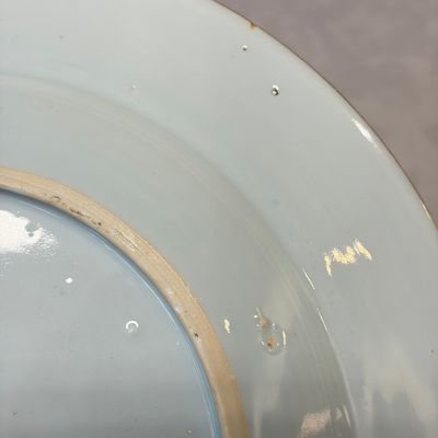 A Chinese famille rose 'Botanical' plate based on designs by the German botanist Maria Sybille Merian — foto 10