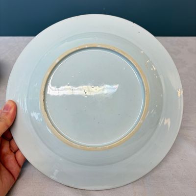 A Chinese famille rose 'Botanical' plate based on designs by the German botanist Maria Sybille Merian — foto 7