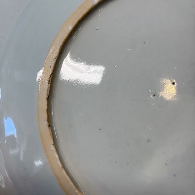 A Chinese famille rose 'Botanical' plate based on designs by the German botanist Maria Sybille Merian — foto 8