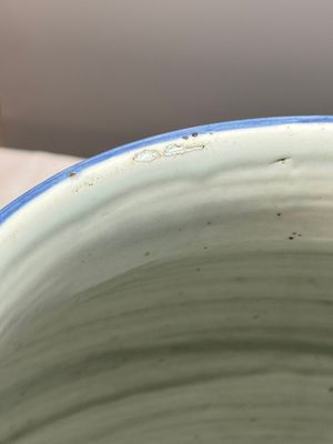 A large Chinese blue and white jar with Buddhist symbols, shells and insects — 照片 13