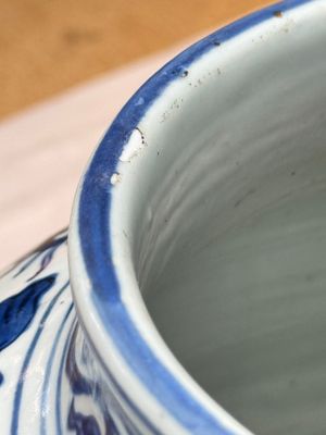 A large Chinese blue and white jar with Buddhist symbols, shells and insects — 照片 15