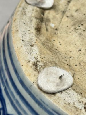 A large Chinese blue and white jar with Buddhist symbols, shells and insects — 照片 17
