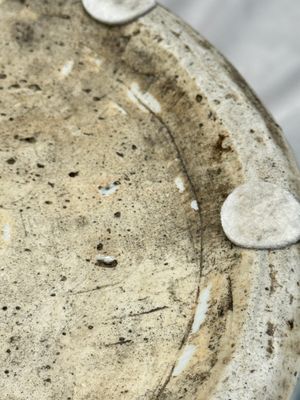 A large Chinese blue and white jar with Buddhist symbols, shells and insects — 照片 21
