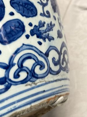 A large Chinese blue and white jar with Buddhist symbols, shells and insects — 照片 8
