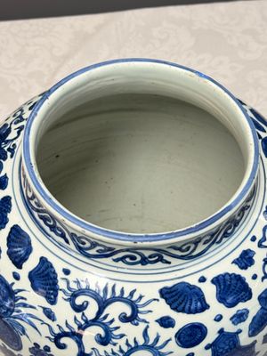 A large Chinese blue and white jar with Buddhist symbols, shells and insects — 照片 10