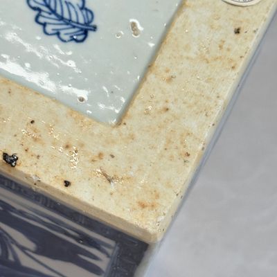 A pair of Chinese blue and white 'Blossoming Flower Branches' square flasks and covers — 照片 23