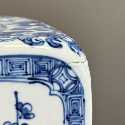 A pair of Chinese blue and white 'Blossoming Flower Branches' square flasks and covers — 照片 35