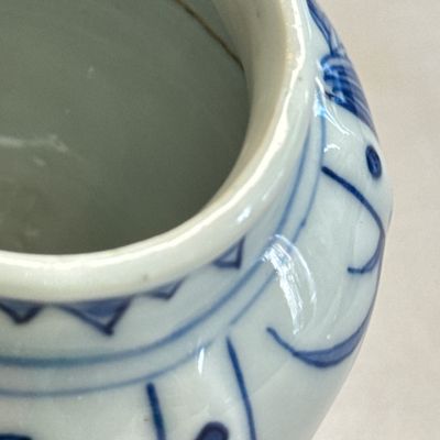 A pair of Chinese blue and white covered mustard pots with floral design — 照片 19