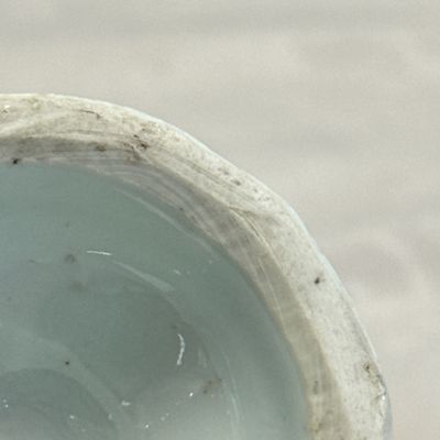 A pair of Chinese blue and white covered mustard pots with floral design — 照片 23