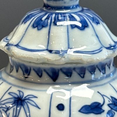 A pair of Chinese blue and white covered mustard pots with floral design — 照片 38