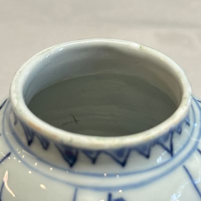 A pair of Chinese blue and white covered mustard pots with floral design — 照片 42