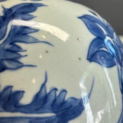 A pair of Chinese blue and white jars with floral design — photo 13