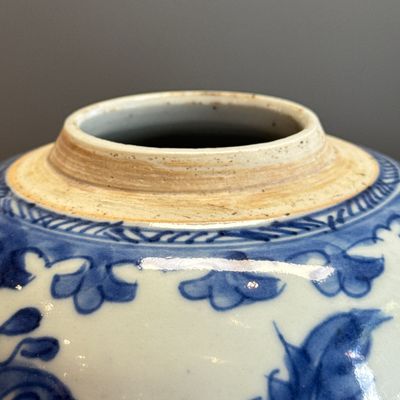 A pair of Chinese blue and white jars with floral design — photo 15