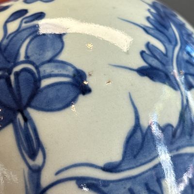 A pair of Chinese blue and white jars with floral design — photo 10