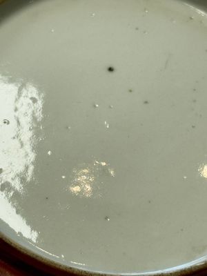 A pair of Chinese coral-red-glazed plates — photo 7
