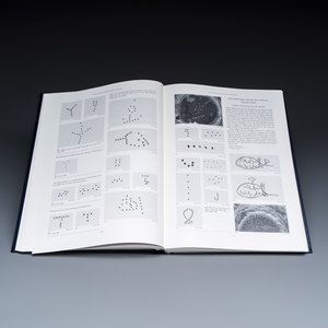 Regina Krahl, John Ayers: Chinese Ceramics in the Topkapi Saray Museum, Istanbul: A Complete Catalogue, 3 volumes — photo 6
