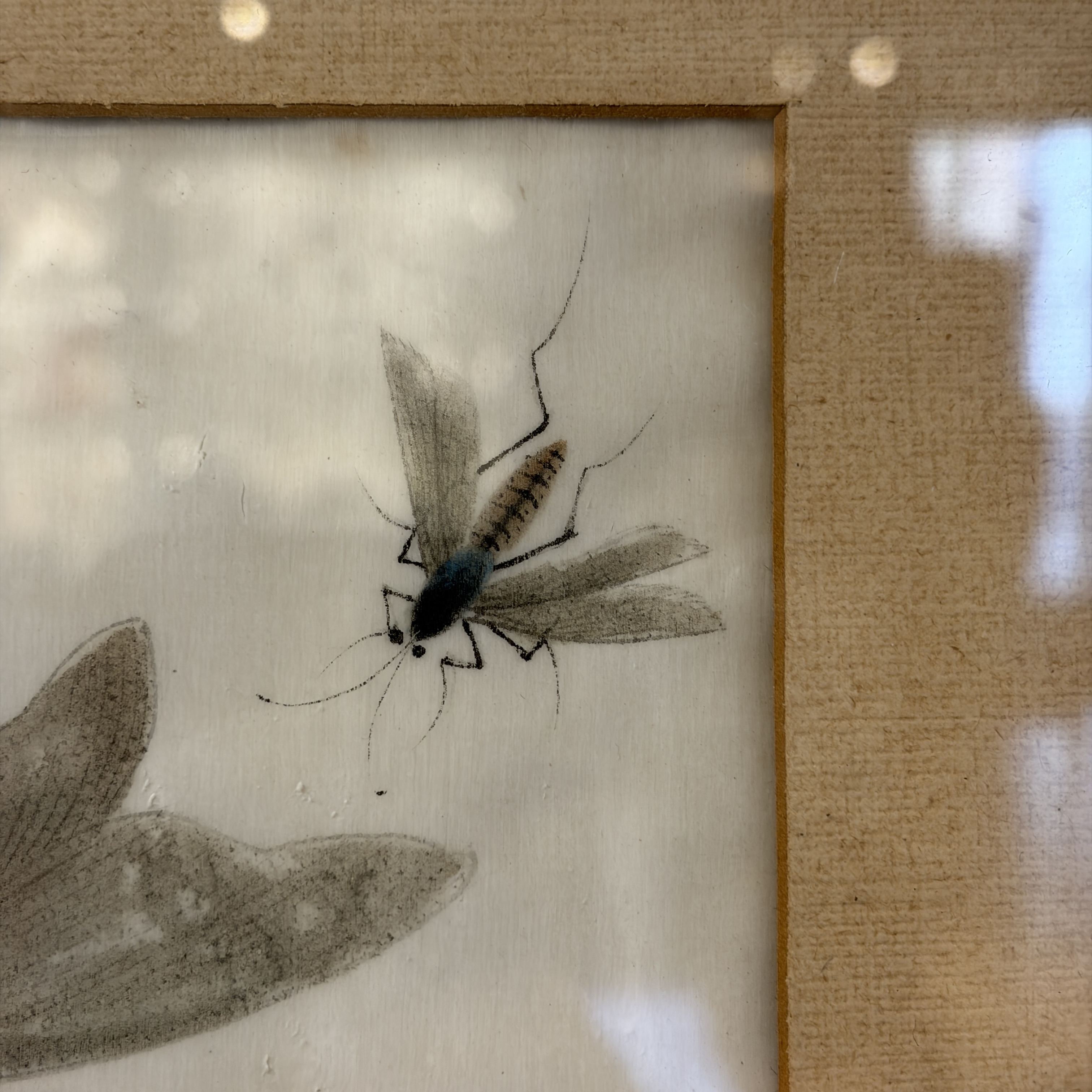 Two unusual Chinese Canton pith paper paintings with various insects and a lizard — 照片 13