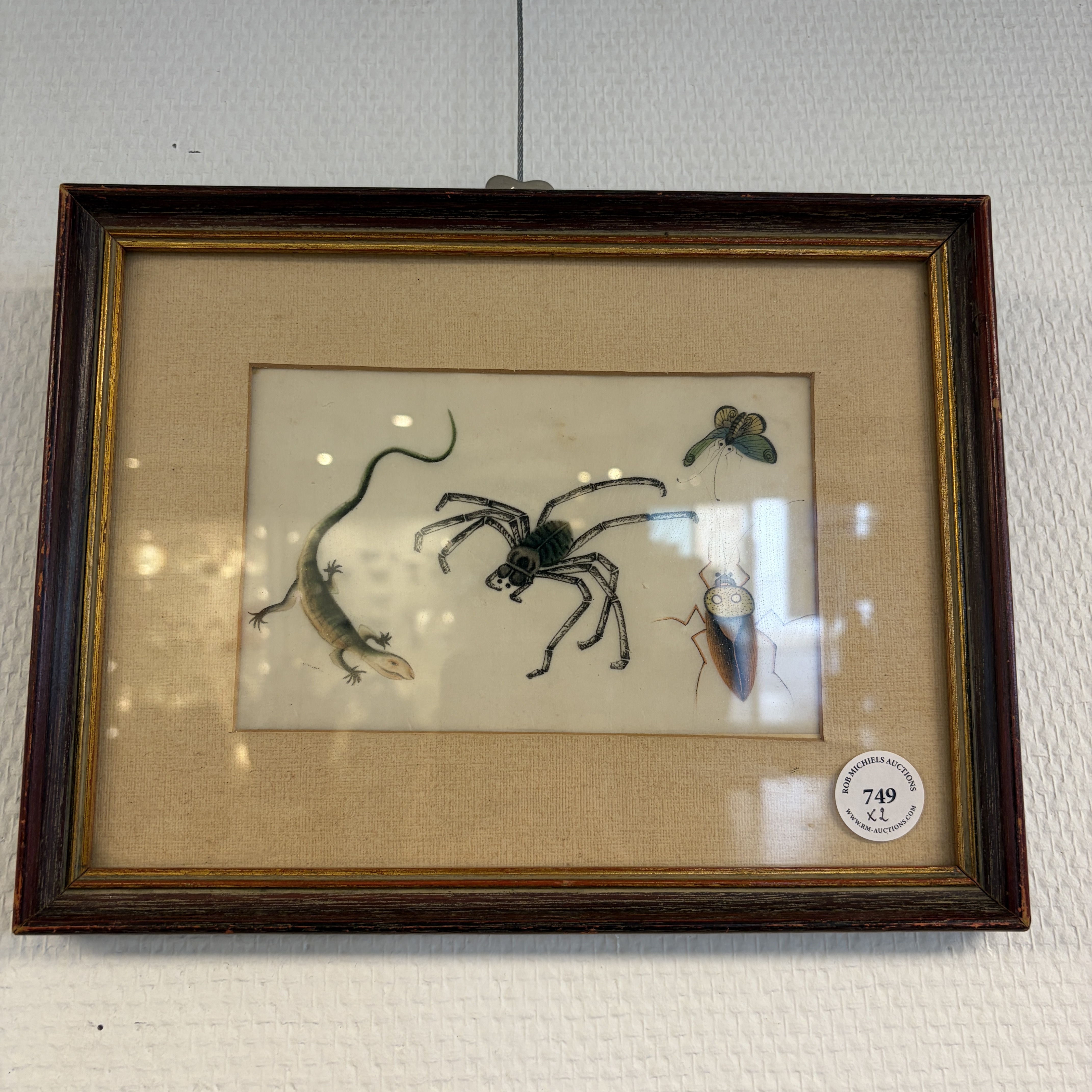 Two unusual Chinese Canton pith paper paintings with various insects and a lizard — 照片 1