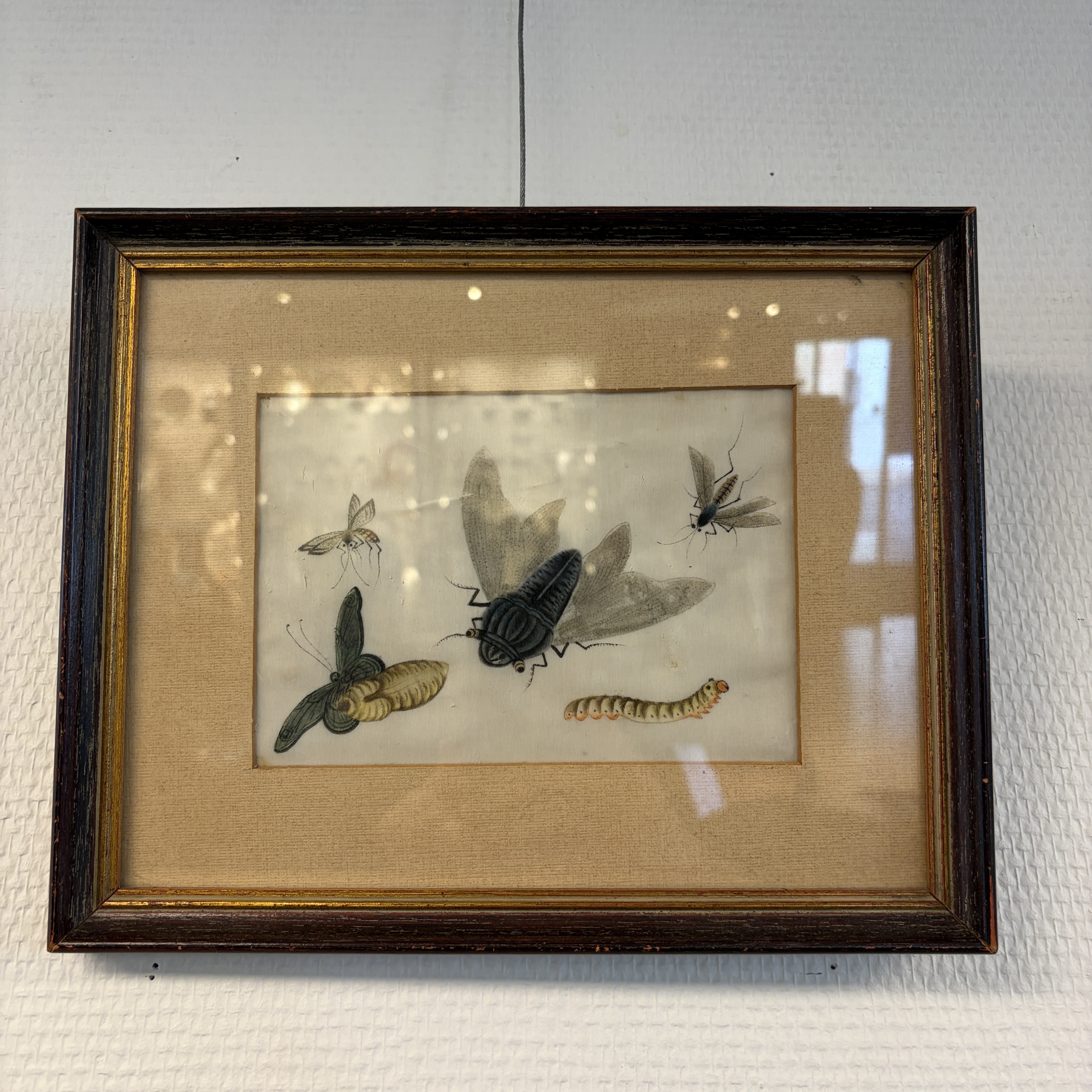 Two unusual Chinese Canton pith paper paintings with various insects and a lizard — 照片 2
