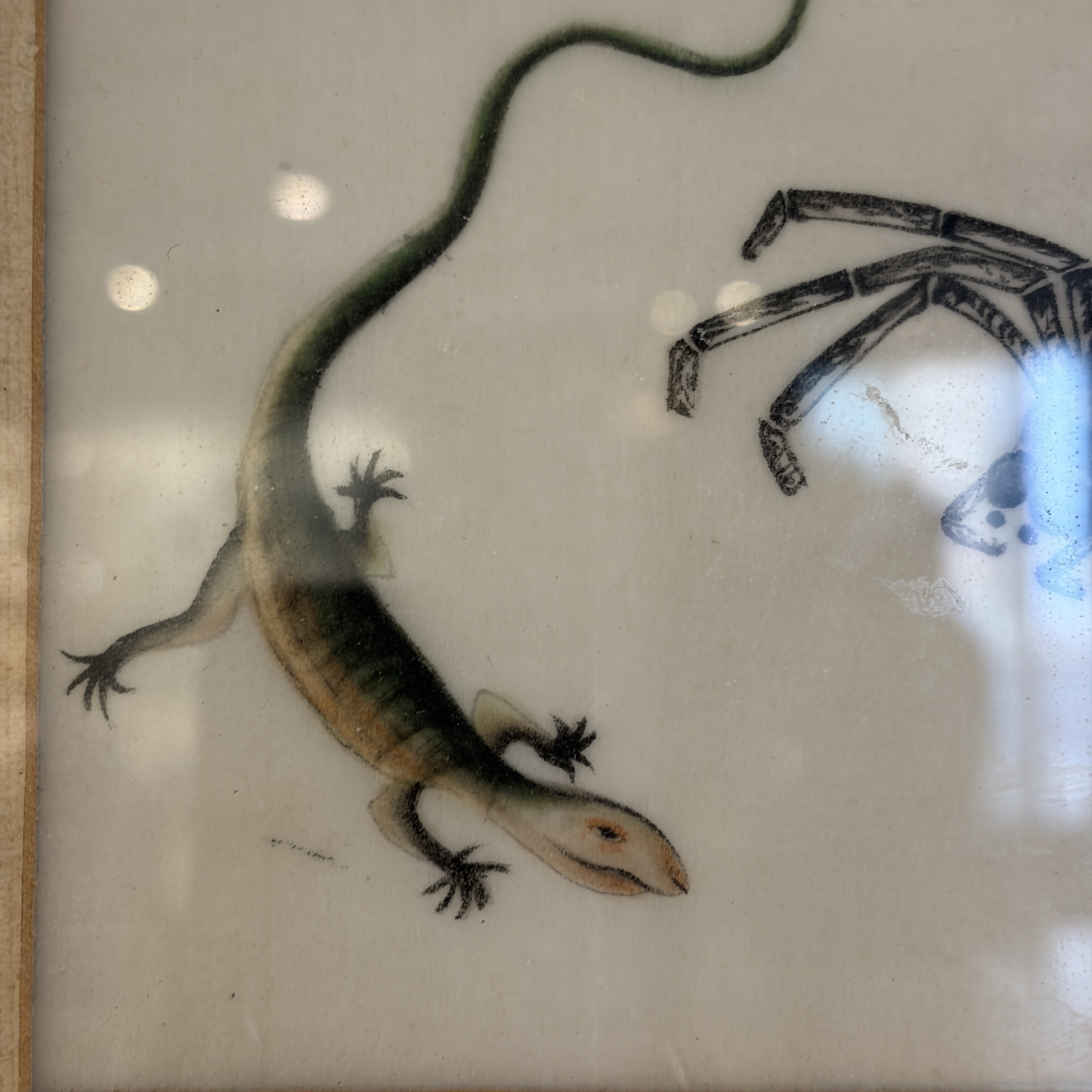 Two unusual Chinese Canton pith paper paintings with various insects and a lizard — 照片 3