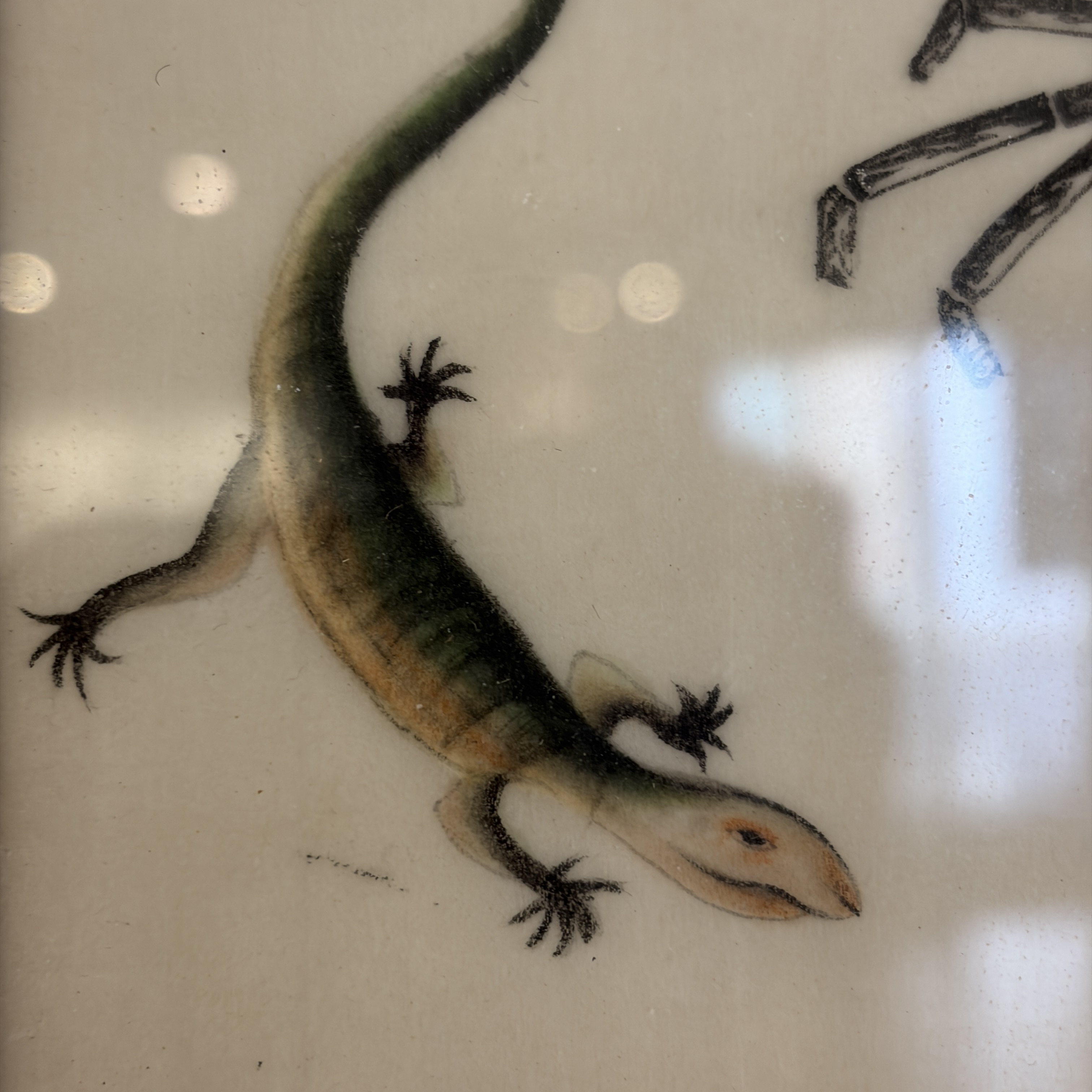 Two unusual Chinese Canton pith paper paintings with various insects and a lizard — 照片 4