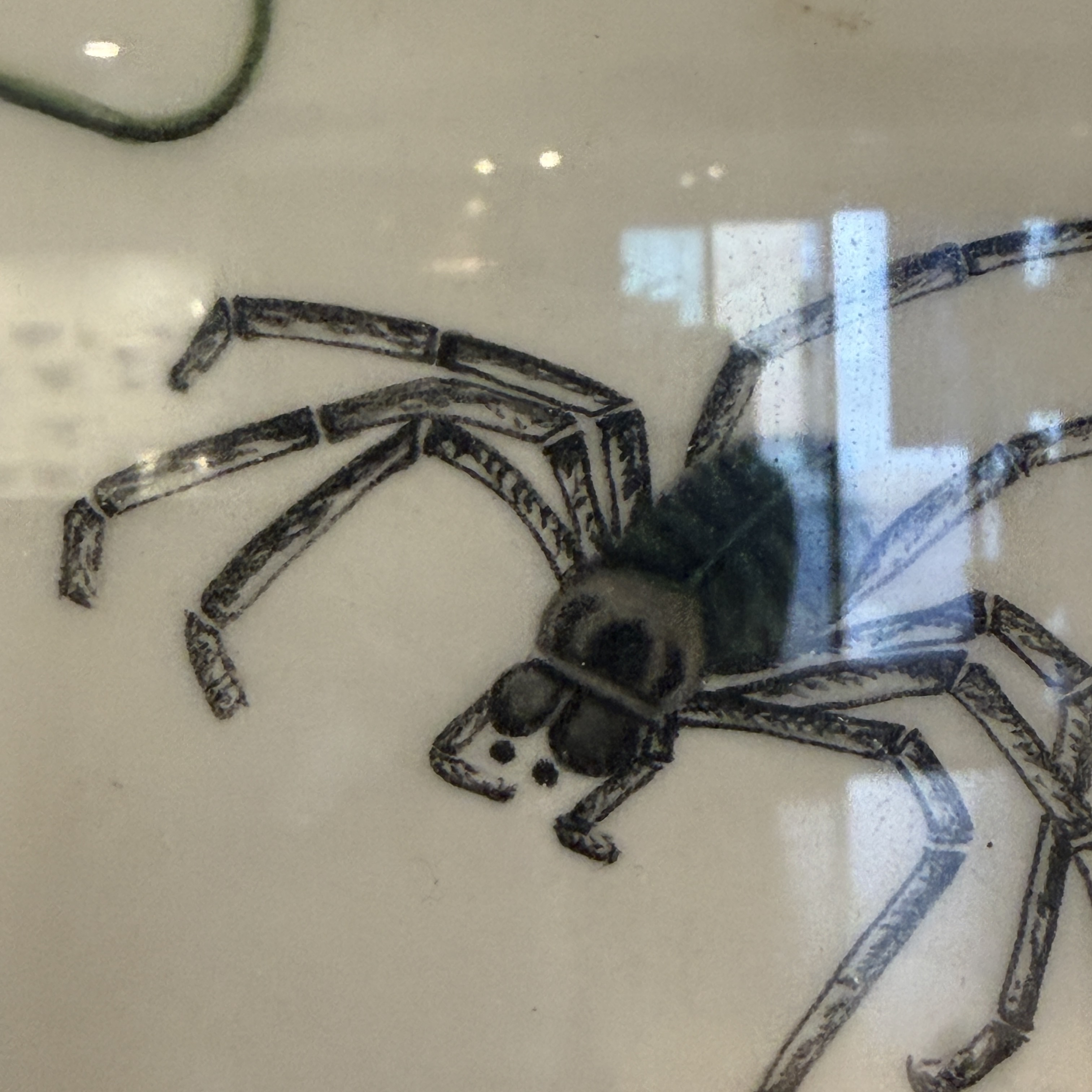 Two unusual Chinese Canton pith paper paintings with various insects and a lizard — 照片 6