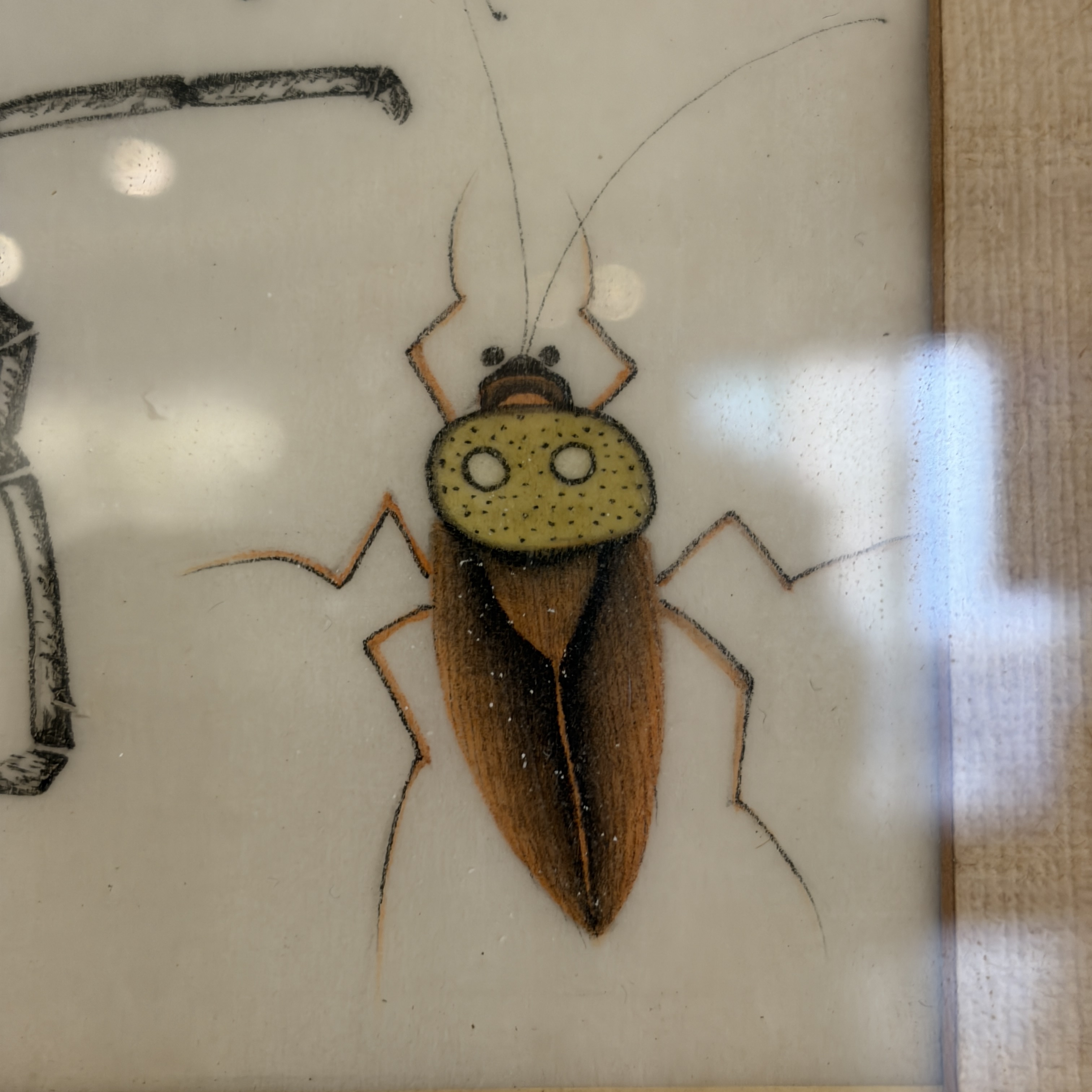 Two unusual Chinese Canton pith paper paintings with various insects and a lizard — 照片 7