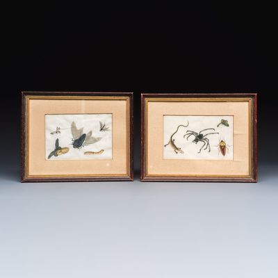 Two unusual Chinese Canton pith paper paintings with various insects and a lizard, 19th C.