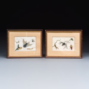 Two unusual Chinese Canton pith paper paintings with various insects and a lizard — 照片 1