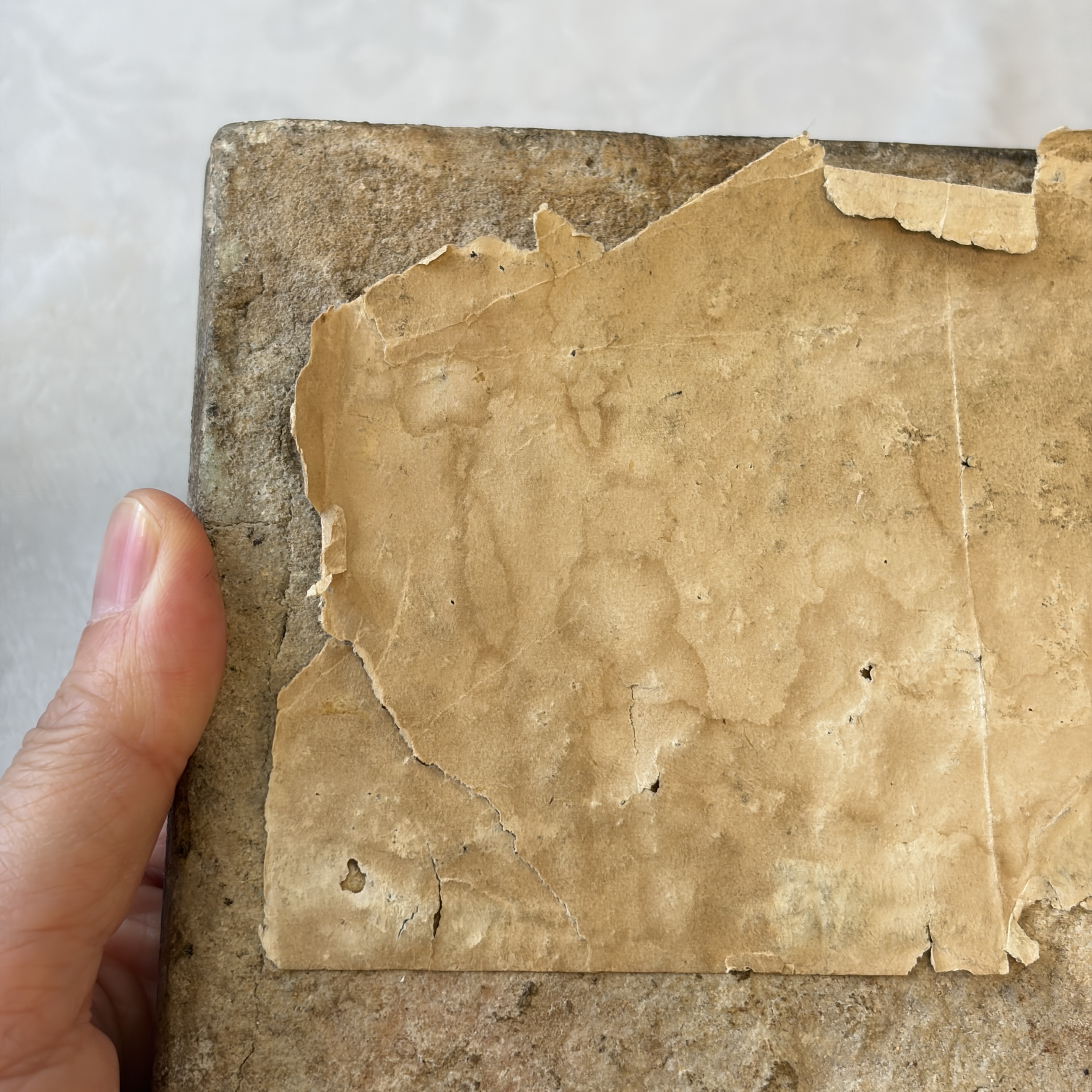 A blue and turquoise Damascus pottery tile with cypress trees — photo 14
