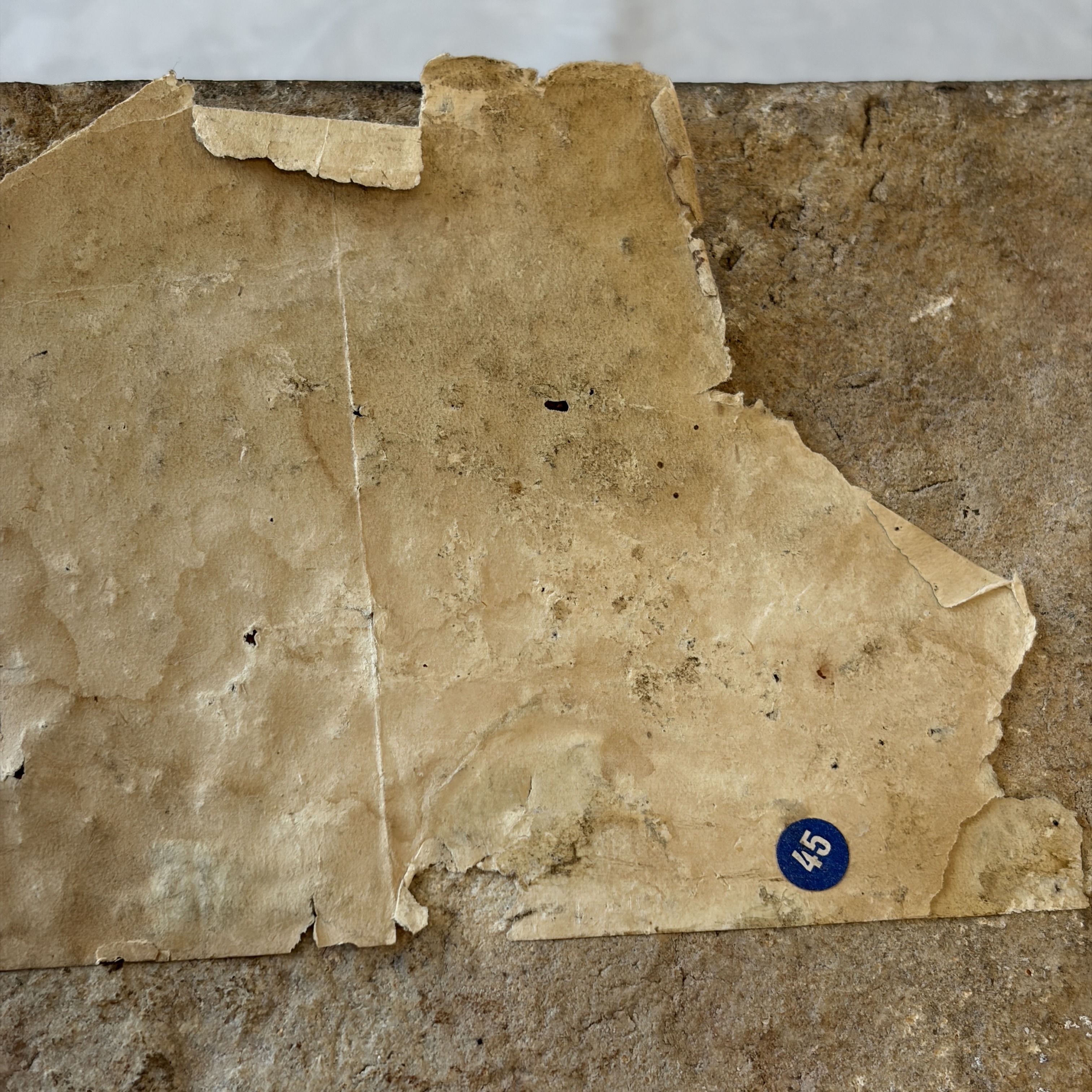 A blue and turquoise Damascus pottery tile with cypress trees — photo 15