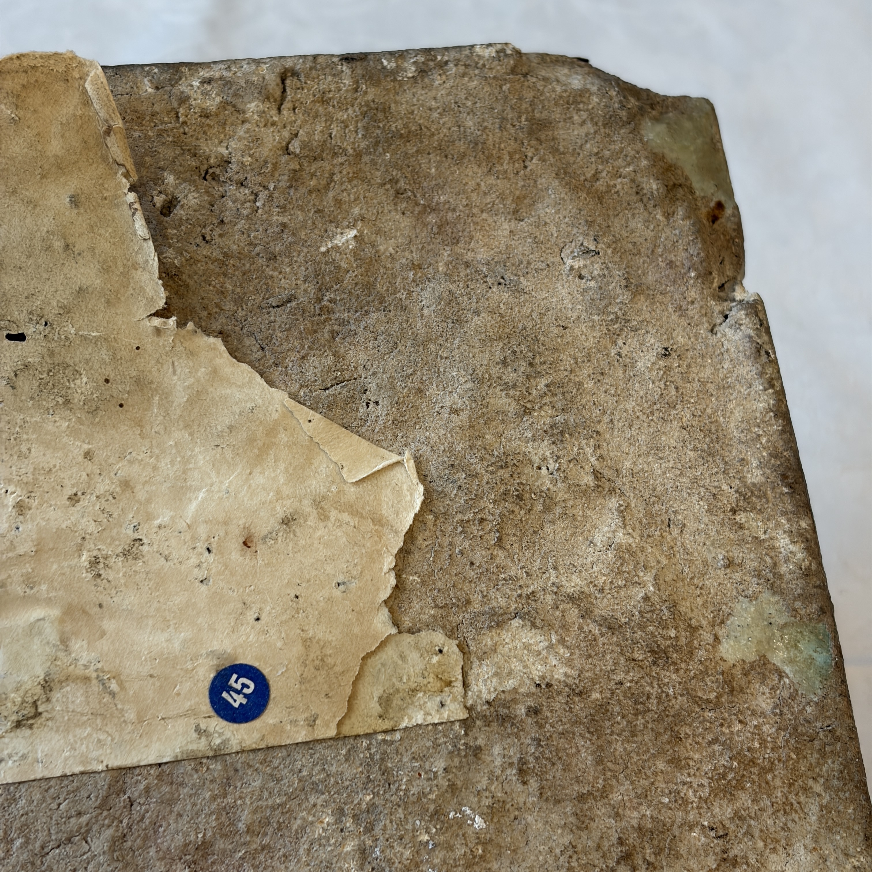 A blue and turquoise Damascus pottery tile with cypress trees — photo 16