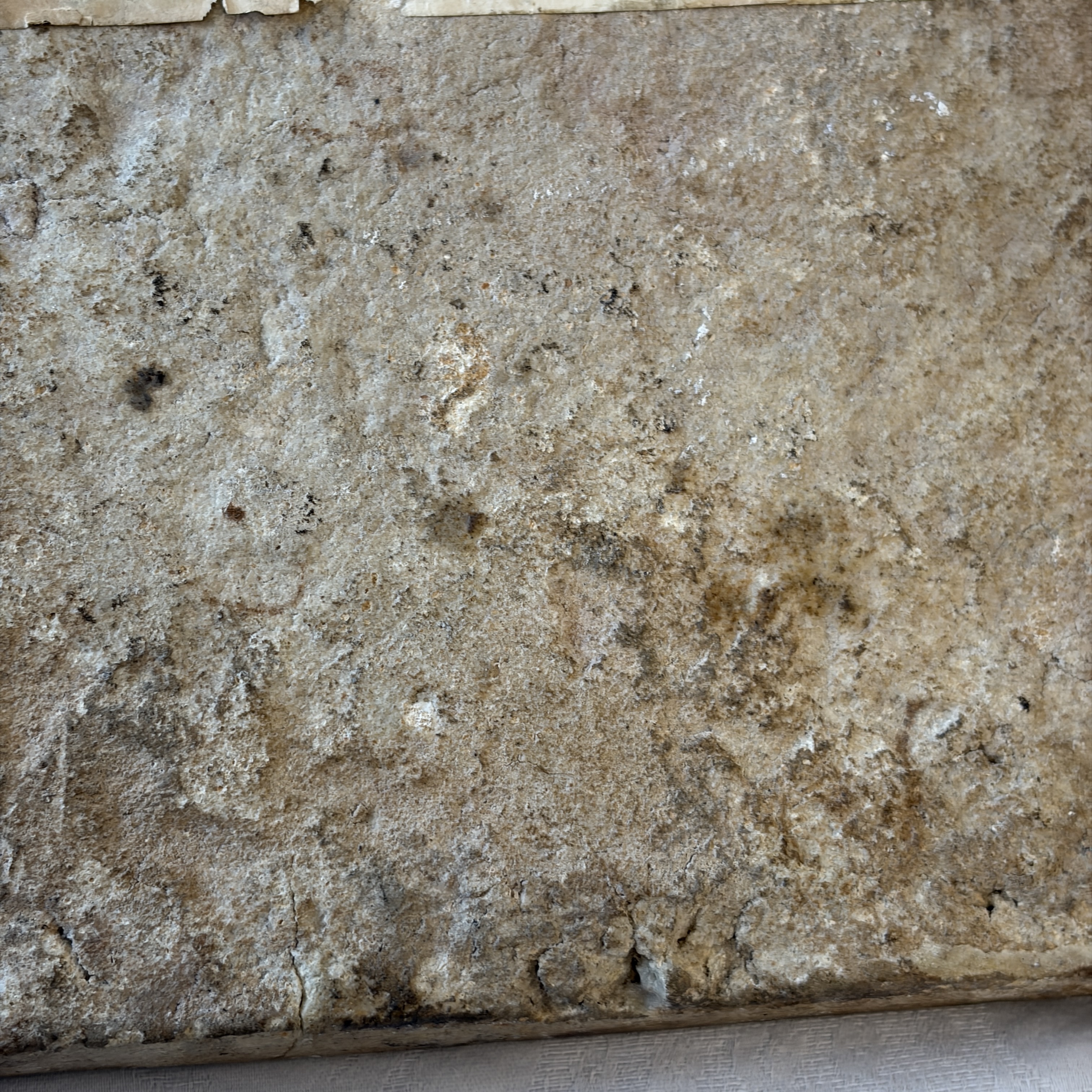 A blue and turquoise Damascus pottery tile with cypress trees — photo 17