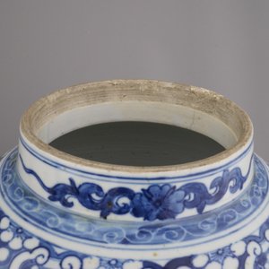 A blue and white Chinese porcelain dragon vase and a Japanese vase with a tiger, 19th C. — 照片 5