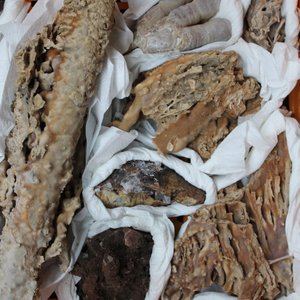 A box lot of various minerals and semi-precious stones — photo 1