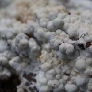 A box lot of various minerals and semi-precious stones — 照片 5
