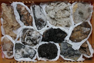 A box lot of various minerals and semi-precious stones