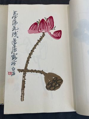 A box with two albums containing 200 woodblocks, 48 of which after Qi Baishi and 38 after Zhang Daqian, Rong Bao Zhai studio, Beijing, 1955 — foto 10