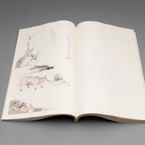 A box with two albums containing 200 woodblocks, 48 of which after Qi Baishi and 38 after Zhang Daqian, Rong Bao Zhai studio, Beijing, 1955 — foto 14