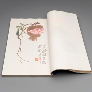 A box with two albums containing 200 woodblocks, 48 of which after Qi Baishi and 38 after Zhang Daqian, Rong Bao Zhai studio, Beijing, 1955 — foto 5