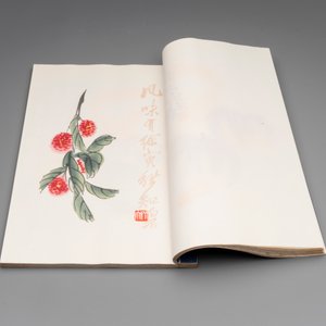 A box with two albums containing 200 woodblocks, 48 of which after Qi Baishi and 38 after Zhang Daqian, Rong Bao Zhai studio, Beijing, 1955 — foto 7