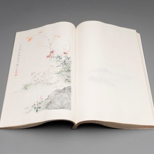 A box with two albums containing 200 woodblocks, 48 of which after Qi Baishi and 38 after Zhang Daqian, Rong Bao Zhai studio, Beijing, 1955 — foto 9