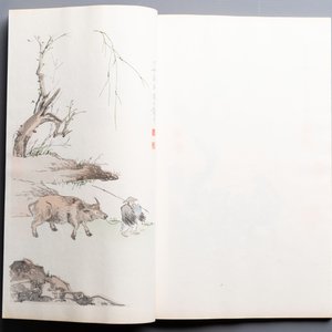 A box with two albums containing 80 woodblocks, 32 of which after Qi Baishi, Rong Bao Zhai studio, Beijing, 1955 — photo 11