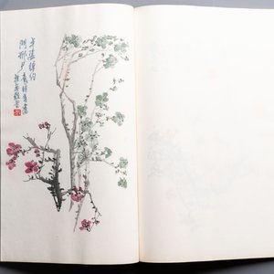 A box with two albums containing 80 woodblocks, 32 of which after Qi Baishi, Rong Bao Zhai studio, Beijing, 1955 — photo 12