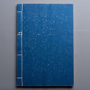 A box with two albums containing 80 woodblocks, 32 of which after Qi Baishi, Rong Bao Zhai studio, Beijing, 1955 — photo 14