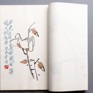 A box with two albums containing 80 woodblocks, 32 of which after Qi Baishi, Rong Bao Zhai studio, Beijing, 1955 — photo 18
