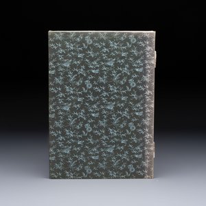 A box with two albums containing 80 woodblocks, 32 of which after Qi Baishi, Rong Bao Zhai studio, Beijing, 1955 — photo 3