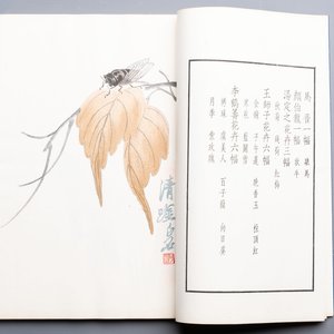 A box with two albums containing 80 woodblocks, 32 of which after Qi Baishi, Rong Bao Zhai studio, Beijing, 1955 — photo 7